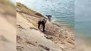Ahmedabad Faces 10-Day Water Cut as Narmada Canal Gets Repairs