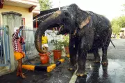 Ahmedabad sizzles at 43.1°C, heatwave to intensify across Gujarat from Sunday