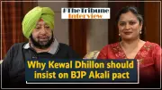 Amarinder Singh: Kewal Dhillon Friend but Wrong for BJP State Chief