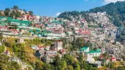 American Surprised by Missing Home Essentials in India