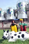 Amul Dairy Hikes Milk Procurement Prices by Rs 10/kg Fat from June 1