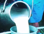 Amul Hikes Milk Prices by Rs 2 Per Litre Across Multiple Variants
