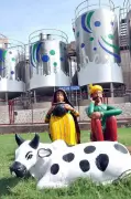 Amul Leads India's Dairy Export Surge to Middle East Amid Crisis