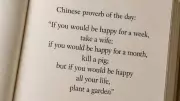 Ancient Chinese Proverb on Happiness: Why It Feels So Modern Today