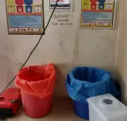 Andhra Hospitals Ordered to Submit Biomedical Waste Reports After Dog Incident