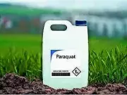 Andhra Pradesh Imposes 60-Day Ban on Toxic Herbicide Paraquat