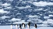 Antarctic Treaty Talks in Hiroshima Focus on Climate and Tourism Threats