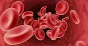 Apollo Cancer Foundation Marks Thalassemia Day with Survivor Celebrations