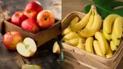 Apple vs Banana: Which Fruit Is More Nutritious and Should Be Eaten Daily?