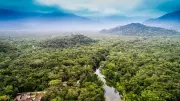 ASI to Study Ancient Inscriptions in Nallamala Forests