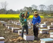 Assam's Baksa District Exports First Honey Shipment to the US