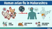 Avian Flu Suspected in Maharashtra's Nandurbar, 8 Samples Sent for Tests