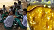 Baby Snake Found in Mid-Day Meal: Over 150 Children Fall Ill in Bihar