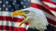Bald Eagle Feather Law: US Tourists Face Heavy Fines for Souvenirs