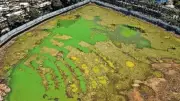 Bandra Talao Dewatered for First Time in Major Rejuvenation Drive
