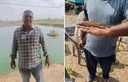 Banker Quits Gurugram Job, Earns Rs 1 Crore Annually from Shrimp Farming