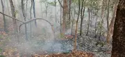 Bastar Forests Burn for Over a Week, Suspected Deliberate Fires Linked to Hunting