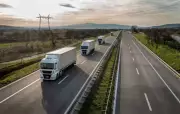 Bee Corridors Planned Along Delhi-Katra Expressway
