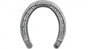 Benefits of Hanging a Horseshoe at Home Entrance: Good Luck Charm