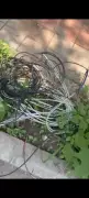 Bengaluru businessman dies in cable accident day before engagement