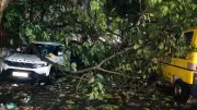 Bengaluru Evening Rain Causes Roadblocks and Tree Falls Across City