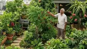 Bengaluru Man Transforms Terrace into Mini Rainforest, Cools Surroundings by 3-4°C