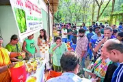 Bengaluru Mango Mela 2026 Sees High Demand Amid Export Disruption