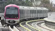 Bengaluru Metro Services Suspended on Garudacharpalya-Whitefield Stretch After Tree Falls on Track