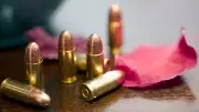Bengaluru NRI Held After Bullets Found in Hotel Room