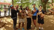 Bengaluru Pet Adoption Drive Promotes Indie Dogs Amid Stray Dog Anxiety