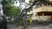 Bengaluru Pre-Monsoon Showers Expose Civic Gaps, Agencies Rush to Fix