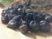Bengaluru Residents Join Civic Bodies for Pre-Environment Day Clean-Up Drive
