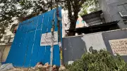Bengaluru Residents Save Rain Tree from Developers in Cooke Town