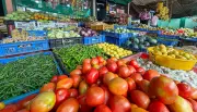 Bengaluru Vegetable Prices Stable Despite Fuel Hike, Traders Warn of Short-Lived Relief