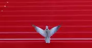 Best Photos from Around the World: May 23, 2026