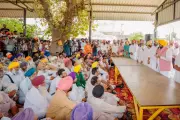 Bhagwant Mann Urges Farmers to Use Canal Irrigation to Save Groundwater