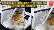 Bhel Puri Served on Bank Statement Sparks Privacy and Hygiene Row