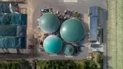 Biogas Could Replace LPG in India's Dairy Belt, Saving Billions