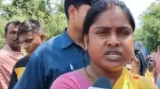 BJP MLA Rekha Patra Sparks Row Over Cattle 'Birth Certificate' Remark