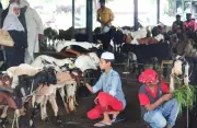 BMC Revokes Permission for Goat Sacrifice in Goregaon Housing Society