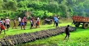 Bokaro villagers rebuild bamboo bridge yearly as monsoon washes it away