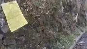 Bomb Threat Targets Rohru Court and SDM Office in Shimla