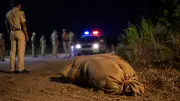 BRS Leader Found Dead in Gunny Bag in Telangana's Suryapet District