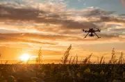BSF Enhances Counter-Drone Tactics Along Pakistan Border
