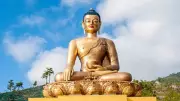 Buddha's Wisdom: Shed Your Past Like a Snake Sheds Its Skin