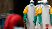 Bundibugyo Ebola Strain Sparks Global Emergency in DRC and Uganda