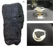 Buried by Vesuvius, Preserved by Fire: The Herculaneum Scrolls' Secrets Revealed