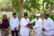 California Grape Variety Arra-36 Transforms Farming in Vijayapura
