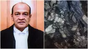 Cash Haul Row: Judges Panel Submits Report on Justice Yashwant Varma to Speaker