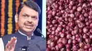 Centre allows NCCF, NAFED to buy onions directly from farmers: Fadnavis